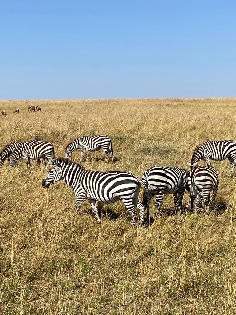 En famille Tanzanie